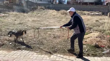 Karaman'da Baba ve Oğluna Köpek Saldırdı