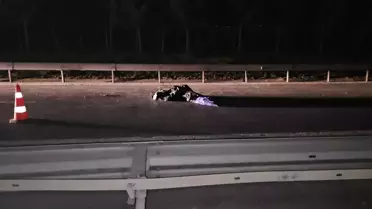 TEM'de yolun ortasında yatan kişiyi ezdi, acı gerçek sonradan ortaya çıktı