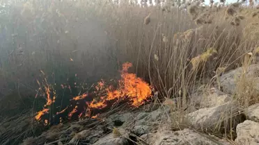 Van Gölü Sahilinde Sazlık Alanında Yangın Çıktı