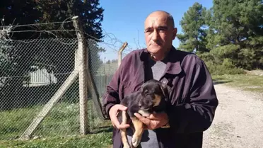 Gaziemir'de 25 Yavru Köpek Ölüme Terk Edildi