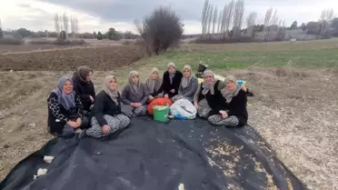 Domaniç Kadın Kooperatifi'nden Sarımsak Atılımı