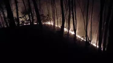Karasu'da Orman Yangını Kontrol Altına Alındı