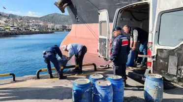 Dikili'de 600 kg Deniz Patlıcanı Ele Geçirildi