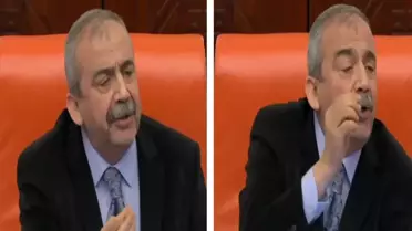 Sırrı Süreyya Önder'den AK Partili vekillere tepki: Canımı sıkmayın dışarı çıkarırım
