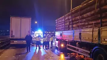 TEM Otoyolu'nda zincirleme kaza: 2 kişi hayatını kaybetti, 4 kişi yaralandı