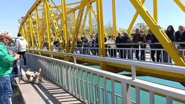 Manavgat'ta Minibüs Kazası: 3 Yaralı