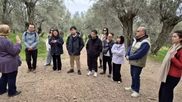Çinli Turizmcilere Antandros Turu