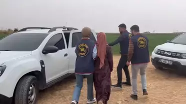 Şanlıurfa'da kan donduran cinayet çözüldü