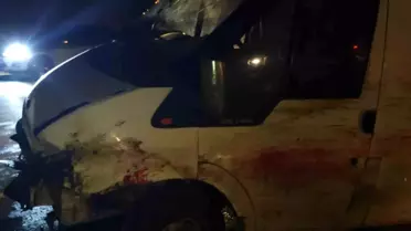 Siirt'te Koyun Sürüsüne Minibüs Çarptı
