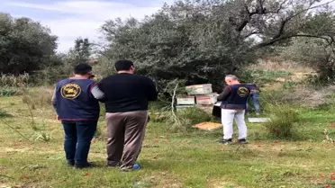 Isparta'da Arı Kovanı Hırsızlığına 3 Tutuklama