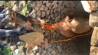 Kozluk'ta İnek Kuyuya Düştü, Kurtarıldı