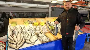 Marmara'da Balık Avlanma Sezonu Sona Erdi, Taze Balık Bulma Endişelerine Yanıt
