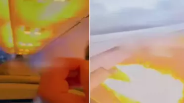 Motora tavşan girdi, uçak iniş yaptı