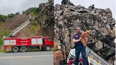 Kayalıklarda Mahsur Kalan Oğlak Kurtarıldı