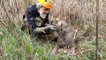 Kuyudan Kurtarılan Köpek