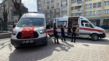 Eskişehir'de Sahipsiz Köpek Saldırısı