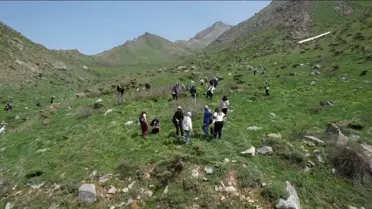 Hakkari'de Ters Lale Şöleni