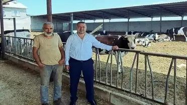 Yalıhüyük'te Ücretsiz Hayvan Gübrei Toplama