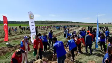 Kırşehir'de 1000 Fidan Dikimi