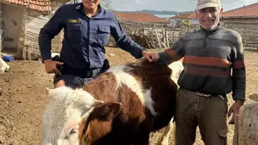 Kaybolan Hayvan Jandarma Tarafından Bulundu
