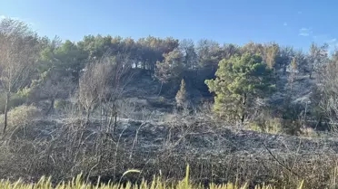 Seydikemer'de Tarım Arazisinde Yangın