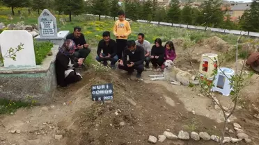 Sadık köpek Garip mezar başında bekliyor