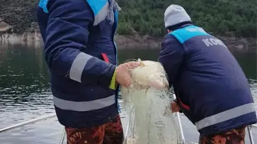 Samsun'da Kaçak Balık Avcılığına Denetim