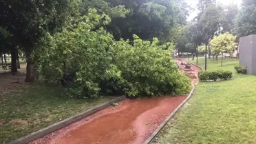 Tarsus'ta Sağanak ve Fırtına Etkili Oldu