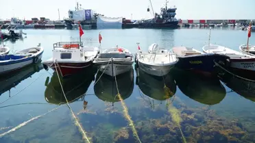 Tekirdağ'da Balıkçılar Denize Açıldı