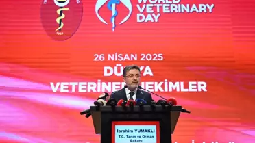 Veteriner hekimler, sahipsiz köpek sorununun çözümünde daha fazla görev üstlenecek