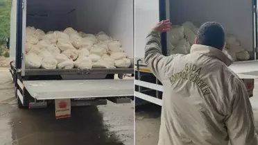 23 ton tarihi geçmiş lor peyniri ele geçirildi