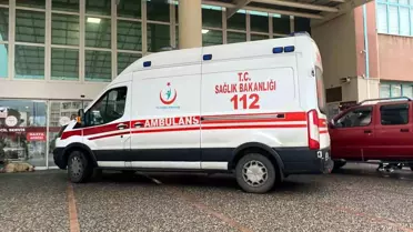 Güreş Boğasının Saldırısı: Genç Adam Hayatını Kaybetti