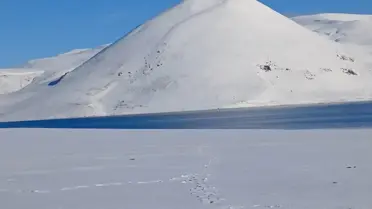 Balık Gölü Baharla Canlandı