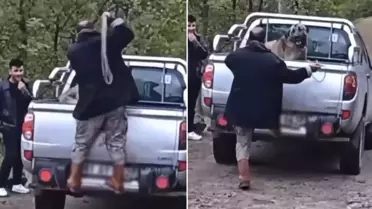 Kamyonet kasasındaki köpeği halatla dövdü