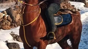 Cirit Maçında Kalp Krizi: Sporcu Hayatını Kaybetti