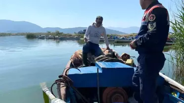 Bafa Gölü'nde Doğal Hayatı Koruma Faaliyetleri