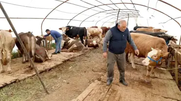 Başiskele'de Kurban Bayramı İçin Hazırlıklar Tamamlandı