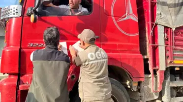 Bilecik'te Orman Kaçakçılığına Geçit Yok