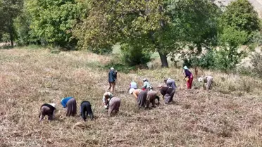 Çiftçilere 6,7 Milyar Lira Destek Ödemesi