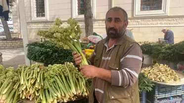 Elazığ'da Işkın Sezonu Başladı