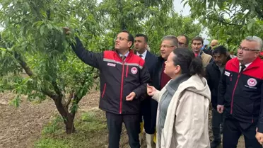 Zirai Don Zararları İçin Destek Açıklaması