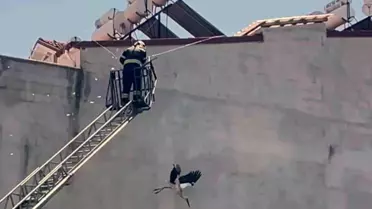 Dalaman'da Kabloya Dolanan Leylek İtfaiye Ekipleri Tarafından Kurtarıldı