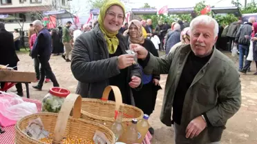 Fatsa'da Atalık Tohum Takası ve Gastronomi Şenliği Gerçekleştirildi