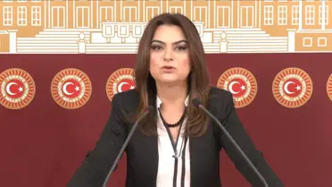 Tecrit Sonlanmalı, Kongre Toplanmalı