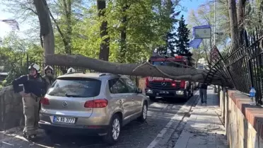 Sarıyer'de Ağaç Devrildi, Araç Hasar Gördü