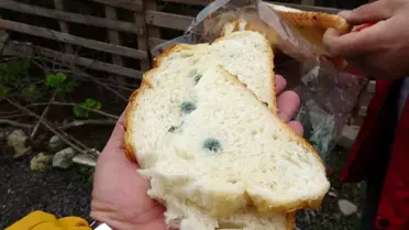 Küflü ekmek şikayeti, markete ceza