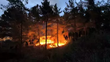 Hatay'da Barakada Yangın, Ormana Sıçramadan Söndürüldü