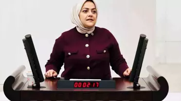 Sema Silkin Ün: Deprem Tehlikesi ve İstanbul'u Uyarıyor