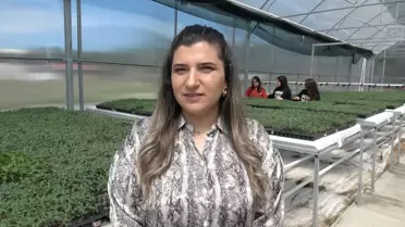 Erzincan'da Öğrenciler Fideleri Üretiyor