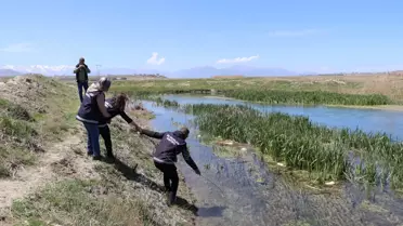 İnci Kefali Göçü ve Kaçak Avcılıkla Mücadele
